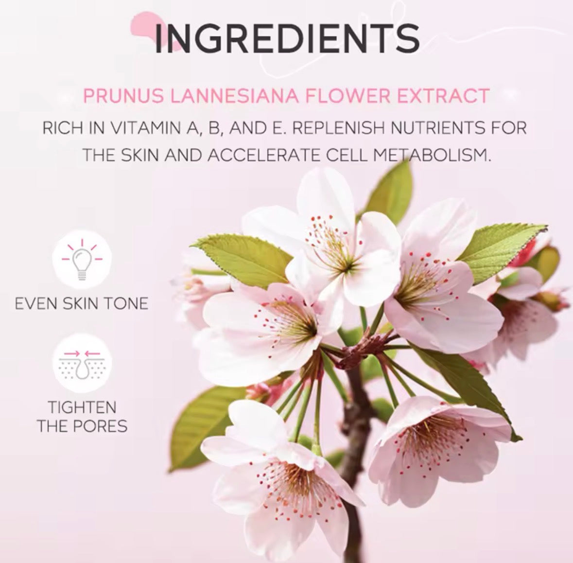 Japan Sakura Mousse Cleanser